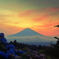 紫陽花と夕焼け富士