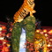 タイガー