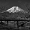 桂川と富士