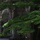 南禅寺水路