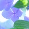 裏側から