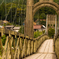 MOMOSUKE Bridge