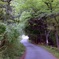山の中の道
