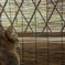 雨じゃ遊び行けないなぁ・・・。