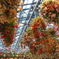 P1020061