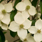 R0012190