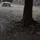 雨上がり