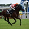東京競馬場