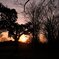 DSC00370