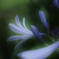 雨に濡れて