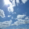 みんな同じ空を見ている
