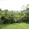DSC02751