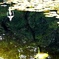 映り込み
