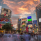 shibuya 
