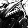 Harley Mono