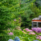 紫陽花のある箱根の風景