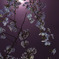 紫夜桜