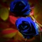 deep blue