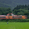農作業