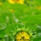 昨日と今日？今日と明日？あと少し