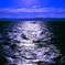 sail go out fishing!!