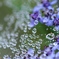 raindrop jewelry その３