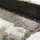 P6282183