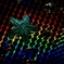 SEA OF THE RAINBOW
