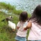 姉妹とアヒルたち