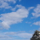 梅雨の晴れ間