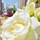都会の芳香