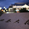 四条の夜