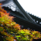 千葉県多古町日本寺66