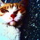 PICT0005
