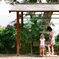 The Day of fine~ early  in summer~