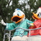 東京ディズニーランド 七夕グリーティング ドナルドとデイジー