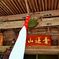 祈念成願・鰐口