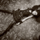 monochrome
