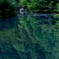 沈黙のダム湖