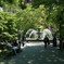 the park in the City