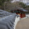 鶴見緑地031