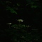光が射す