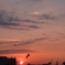 梅雨ときどき夕焼け