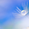 空へ