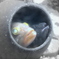 Fishes look the world from this pot.