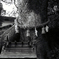 気