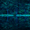 NIKON D810-20150704-042807-1