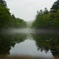 photo_4638510
