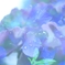 またね◎
