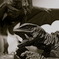 gamera vs gyaos